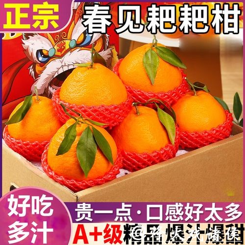 网友跨国追星托带家乡味尹航闪送耙耙柑温暖直抵德国赛场